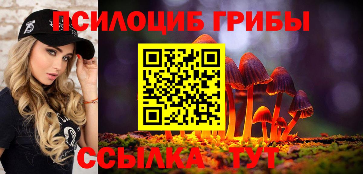 Тула  цены наркотик  Вход с VPN  Галлюциногенные грибы мицелий 